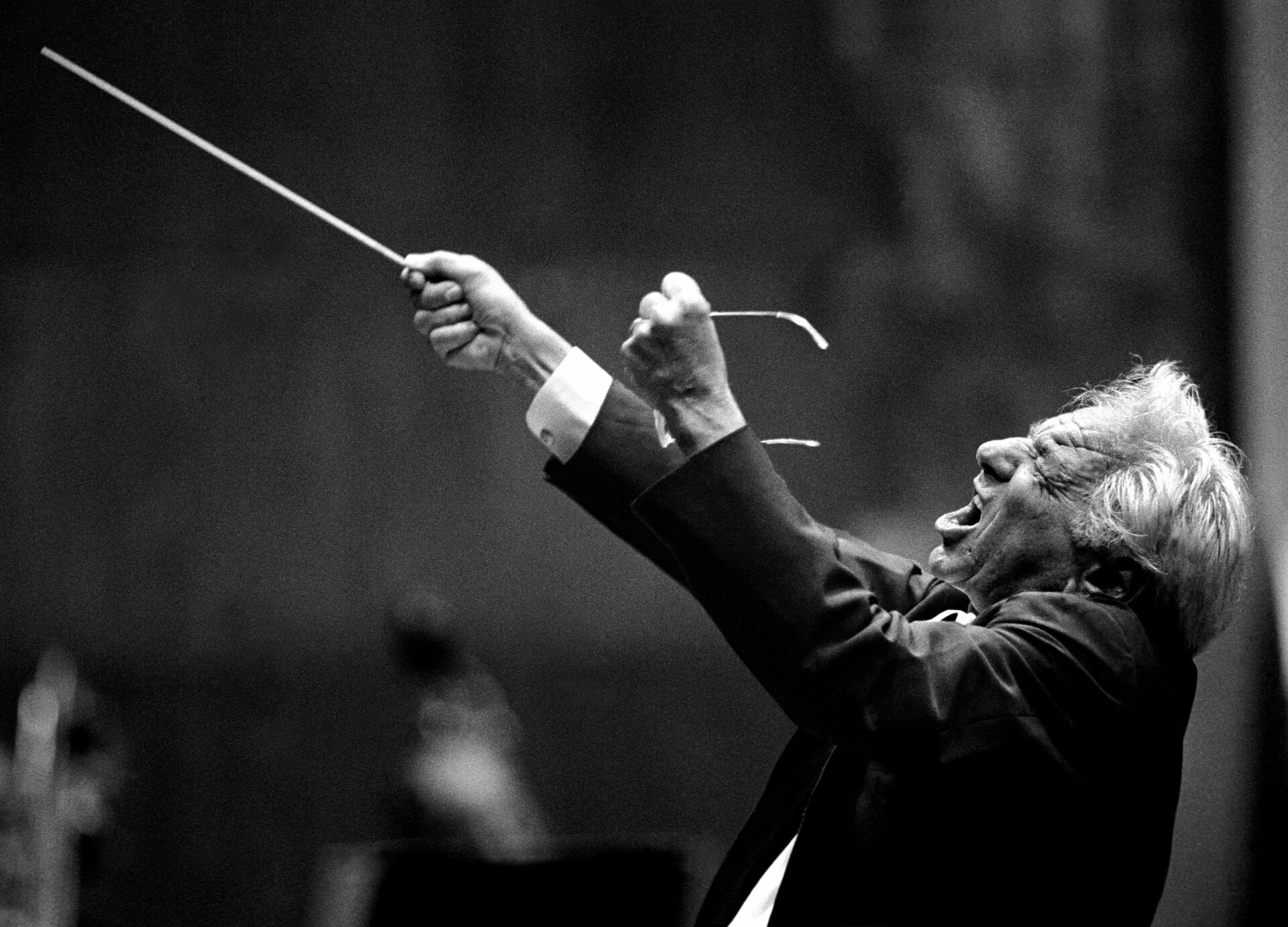 Bernstein Conducting